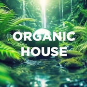 DFM Organic House